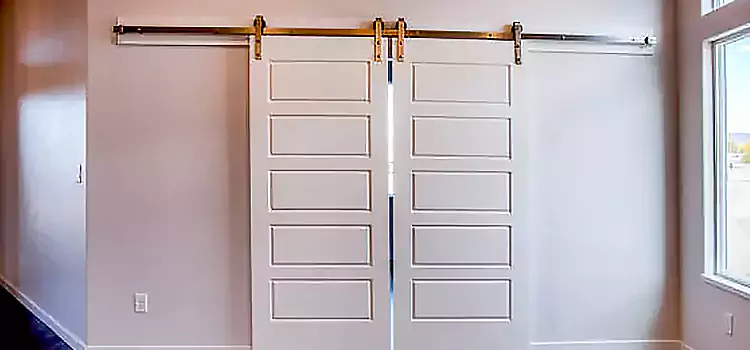 Glass Barn Door with Installation Hardware Kit Scarsdale