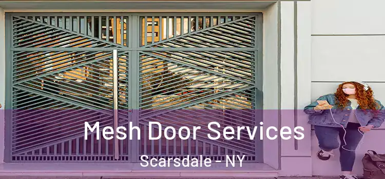  Mesh Door Services Scarsdale - NY